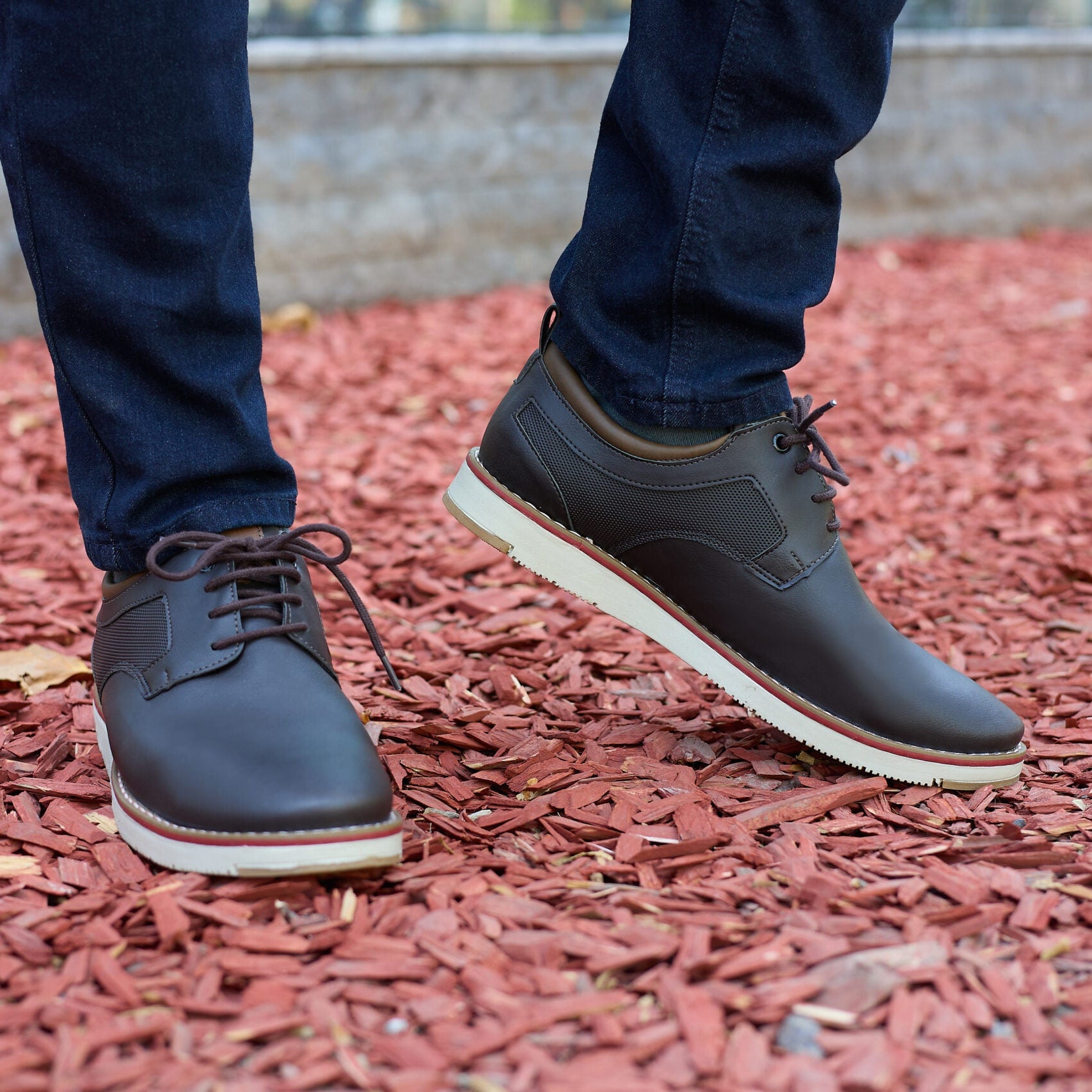 Zapato Collins Café oscuro